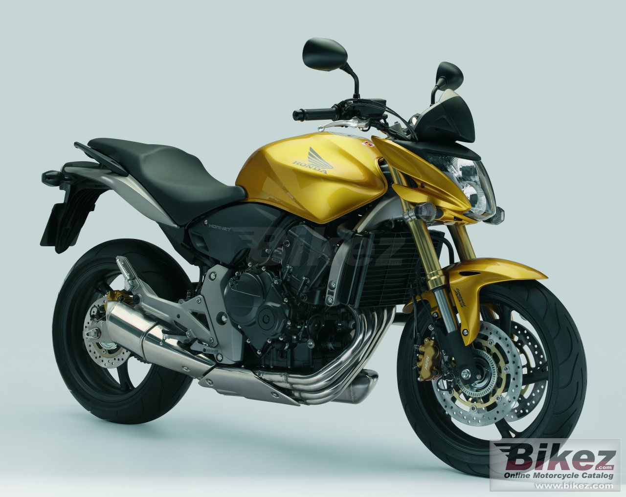 Big Honda cb600f hornet picture and wallpaper from Bikez.com